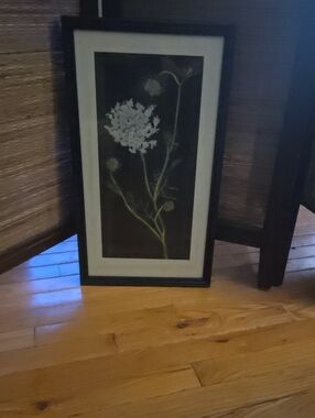 Botanical Framed Art Print - White Flower on Black Background